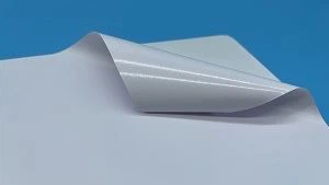 Self Adhesive Vinyl sticker Self Adhesive Vinyl sticker